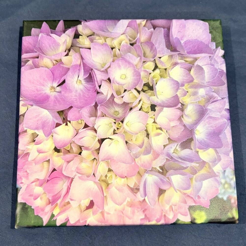 Purple Hydrangea Original Nature Photography Canvas Print Wrapped 8" x 8" Canvas